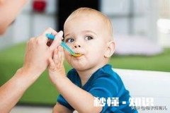 婴儿8个月了吃什么主食好