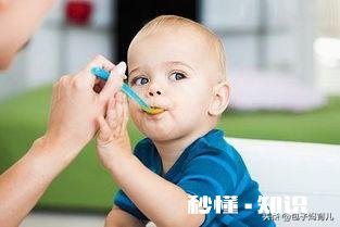 婴儿8个月了吃什么主食好