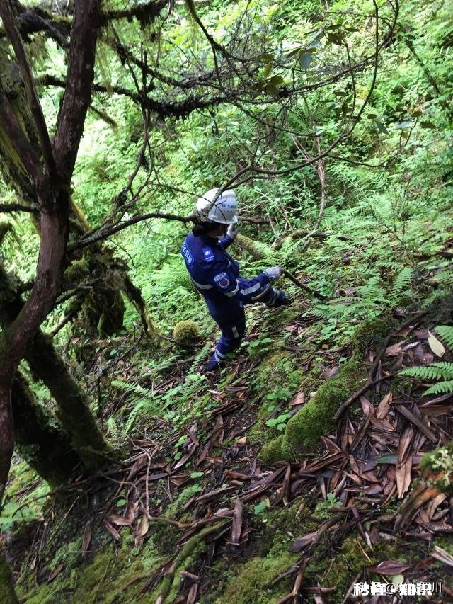 四川甘孜一8岁男孩景区失联7天，搜救还在继续, 你怎么看