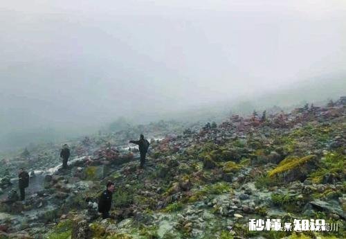 四川甘孜一8岁男孩景区失联7天，搜救还在继续, 你怎么看