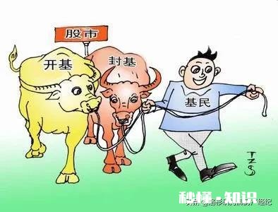 不同的基金之间有什么区别呢