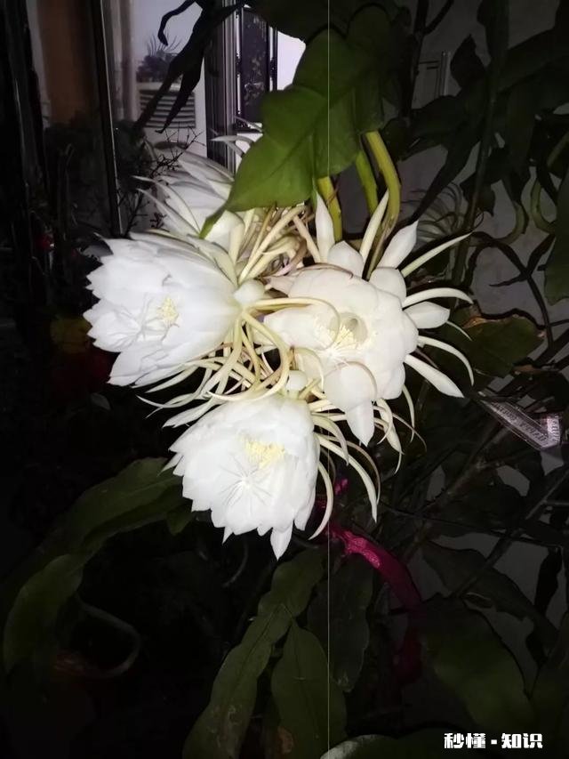 单位女同事说自己手很冷，伸出手来让我感受一下温度，这是什么意思