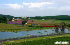 作为一名尼康或佳能用户，你最羡慕对方什么