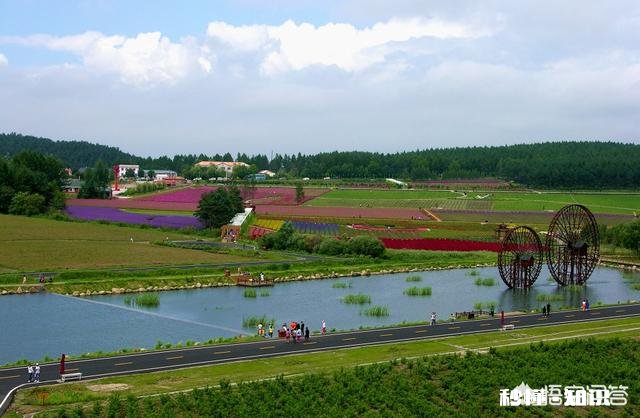 作为一名尼康或佳能用户，你最羡慕对方什么