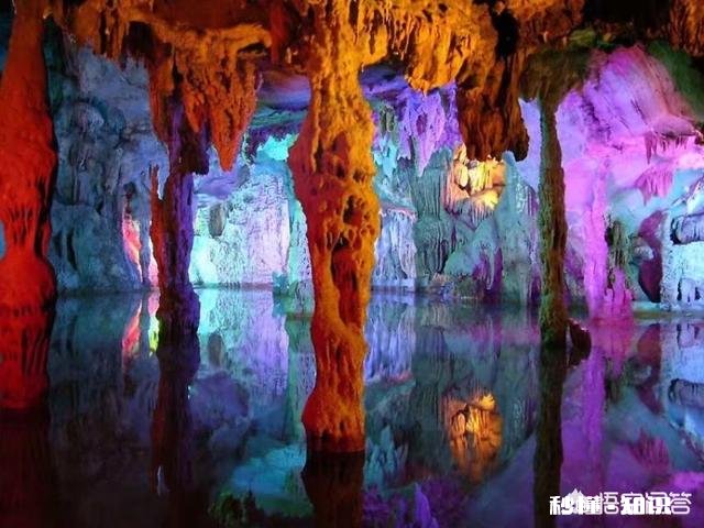 作为一名尼康或佳能用户，你最羡慕对方什么