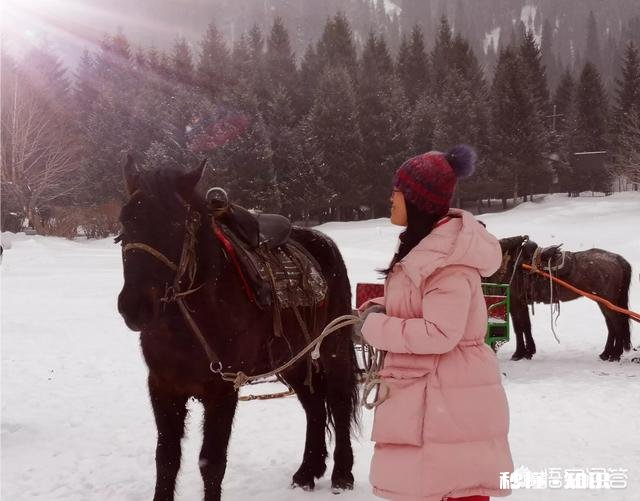 现在有种说法是旅游养老，到时候你会选择吗