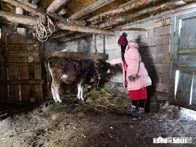 现在有种说法是旅游养老，到时候你会选择吗