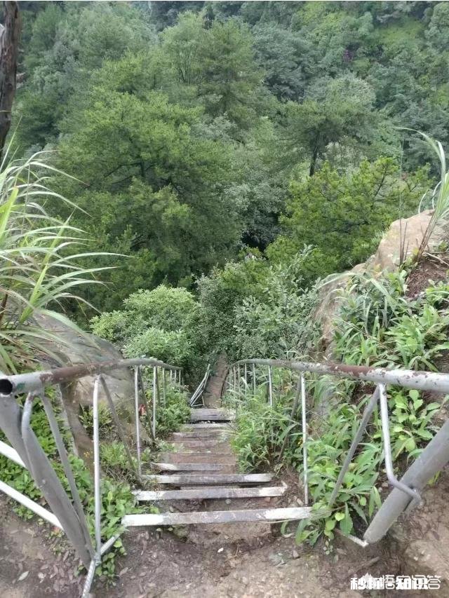 张家界自驾游、自助游、自由行四日游行程如何安排最合适