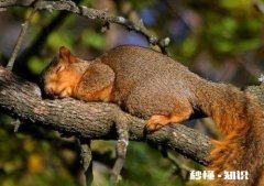 想到个挺傻的对子，求下联。和尚河上合上书本