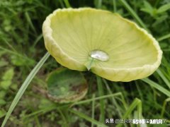 有什么很吓人的故事