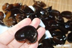 对于烟民来说，多吃木耳真有清肺功效吗，为什么