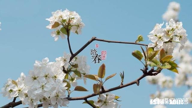 唐人如何春游踏青