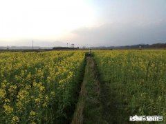 我妈天天要跟我视频聊天抱怨生活，真的很烦！怎么办