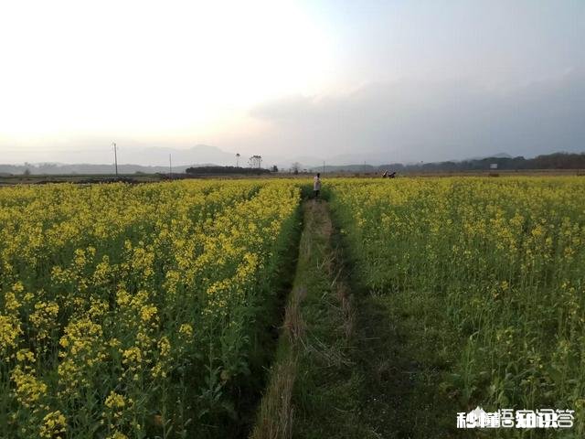 我妈天天要跟我视频聊天抱怨生活，真的很烦！怎么办