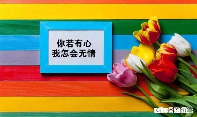 雅迪、爱玛、绿源、台铃四款电动车,哪个性能最好