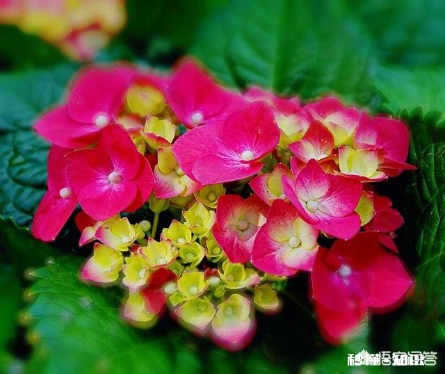 领导的脾气特别差，动辄就大声训斥，但是一心想提拔自己，该离开吗