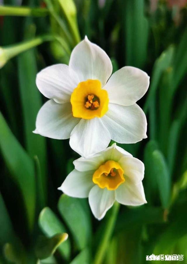 领导的脾气特别差，动辄就大声训斥，但是一心想提拔自己，该离开吗