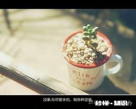 男医学生怎么找女朋友