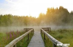 如何度过无助生活