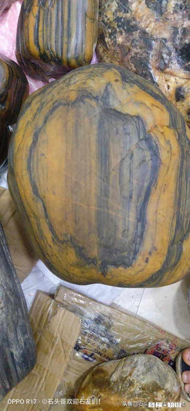 用一块一公斤的雅石交换的梅瓶,大伙看值不值