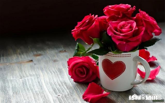 在农村不会做饭的姑娘能嫁出去吗