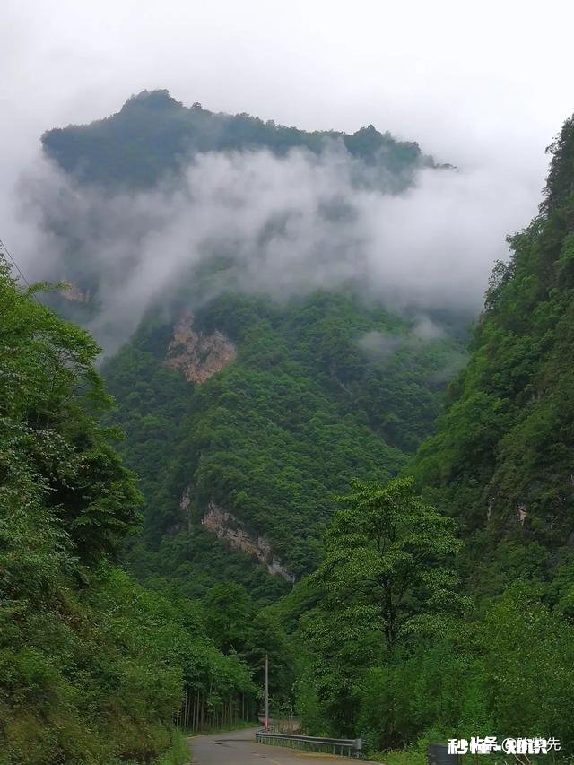 高山流水遇知音，游走山间留踪迹。留下你们的山水风景画，包括雪山，草地，高山