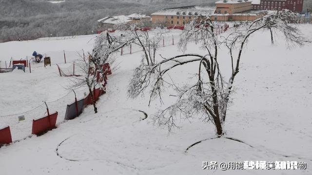 高山流水遇知音，游走山间留踪迹。留下你们的山水风景画，包括雪山，草地，高山