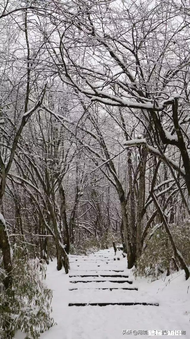 高山流水遇知音，游走山间留踪迹。留下你们的山水风景画，包括雪山，草地，高山