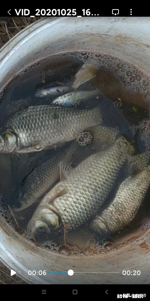 钓鱼人为什么买几条不同长度的鱼竿