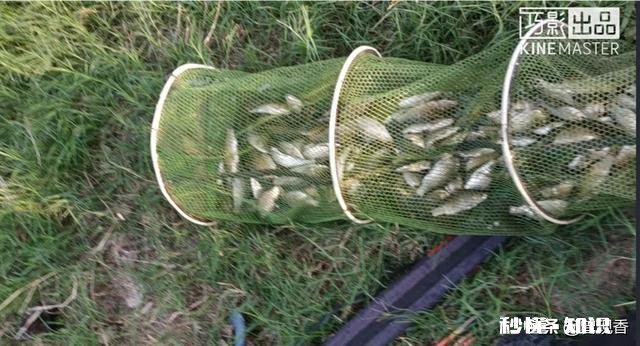 钓鱼人为什么买几条不同长度的鱼竿