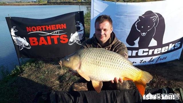 水库冬季主攻钓草鱼、鲮鱼。腥甜酸臭香怎么开饵作钓时需要注意哪些事项