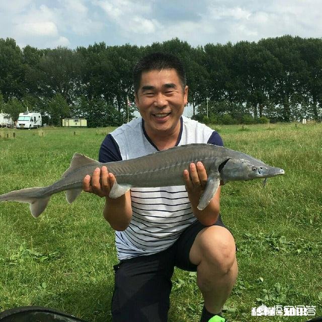 水库冬季主攻钓草鱼、鲮鱼。腥甜酸臭香怎么开饵作钓时需要注意哪些事项