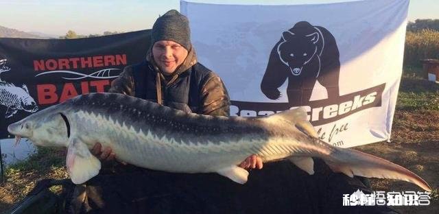 水库冬季主攻钓草鱼、鲮鱼。腥甜酸臭香怎么开饵作钓时需要注意哪些事项