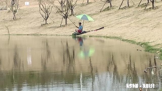 钓鱼爱好者为什么喜欢钓鱼，到底哪里好玩