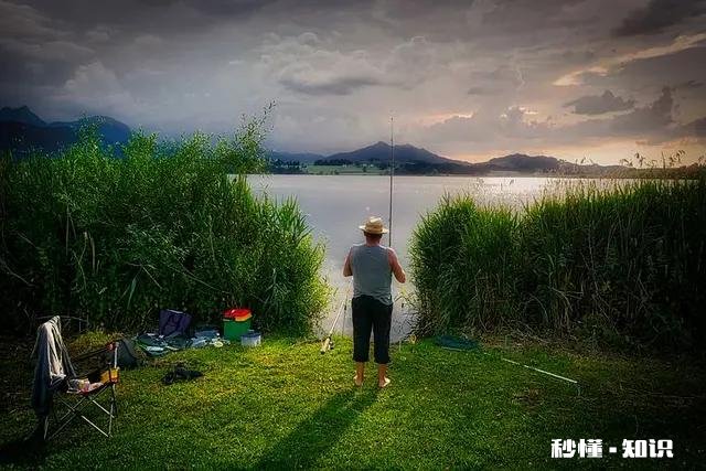 钓鱼爱好者为什么喜欢钓鱼，到底哪里好玩