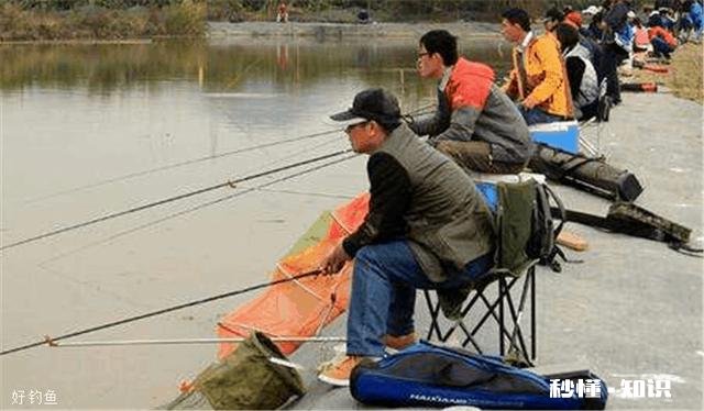 钓鱼爱好者为什么喜欢钓鱼，到底哪里好玩