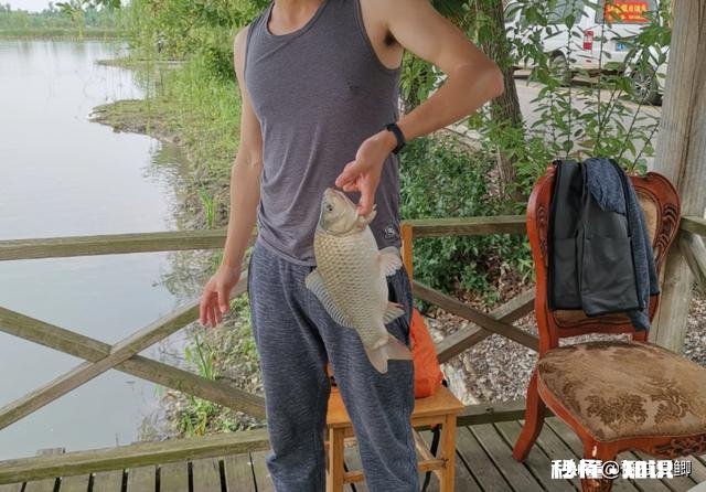 钓鱼爱好者为什么喜欢钓鱼，到底哪里好玩