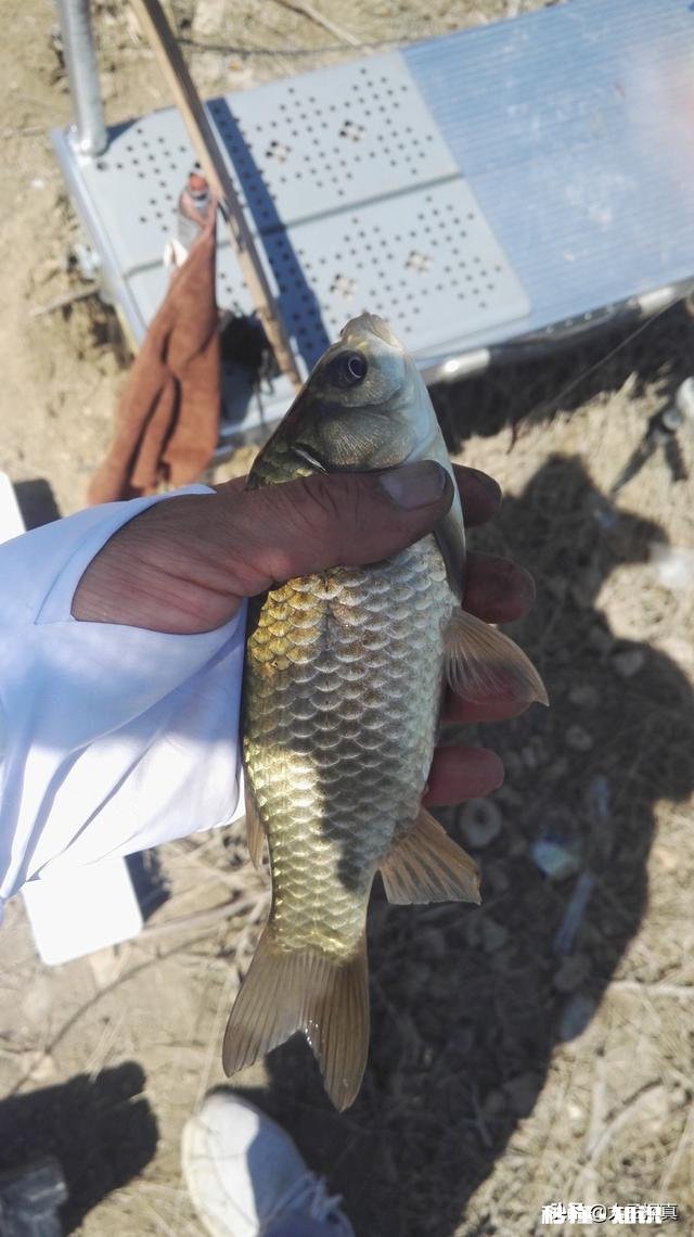 鱼钓的好不好,和钓鱼装备的价格有关系吗