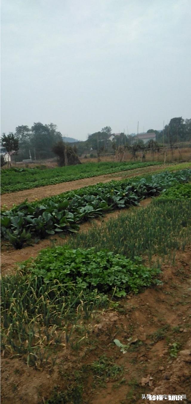 哪的的人做事最低调