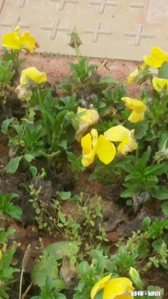 哪的的人做事最低调