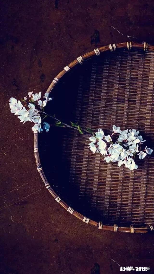 能说一下你们童年最开心的是什么时候吗