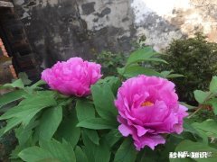 能说一下你们童年最开心的是什么时候吗