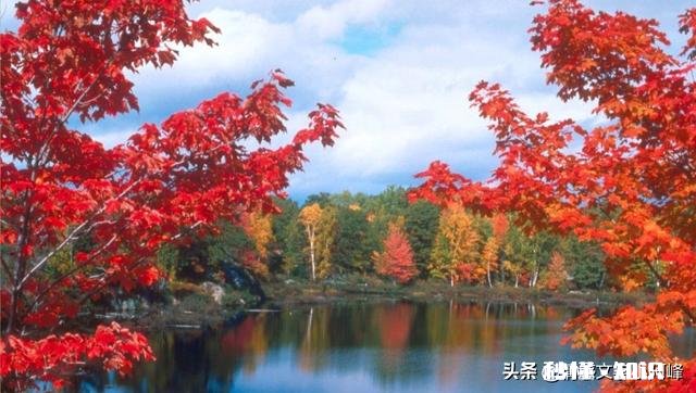 有那种你喜欢我，我也喜欢你，却不能在一起的感情存在么