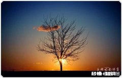 保定一老旧小区改造，24栋楼就剩了1栋未完成官方回应了，你怎么看