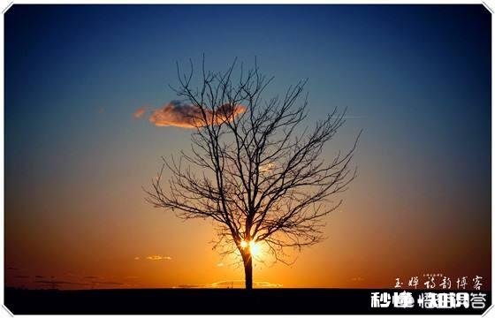 保定一老旧小区改造，24栋楼就剩了1栋未完成官方回应了，你怎么看