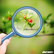 忙了一周，周末你会怎么度过