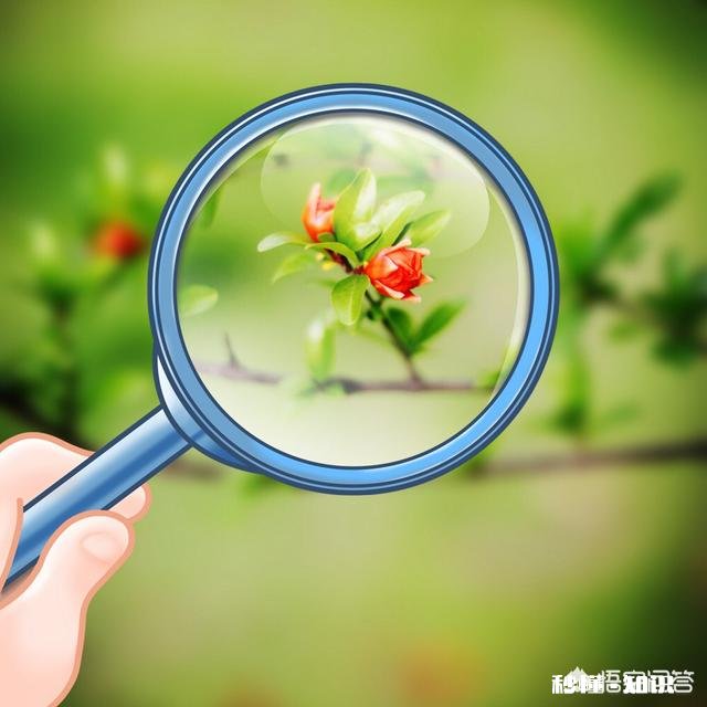 忙了一周，周末你会怎么度过