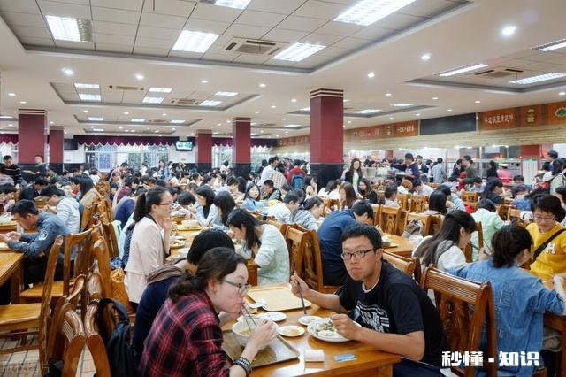 你有什么“白嫖”的难忘经历