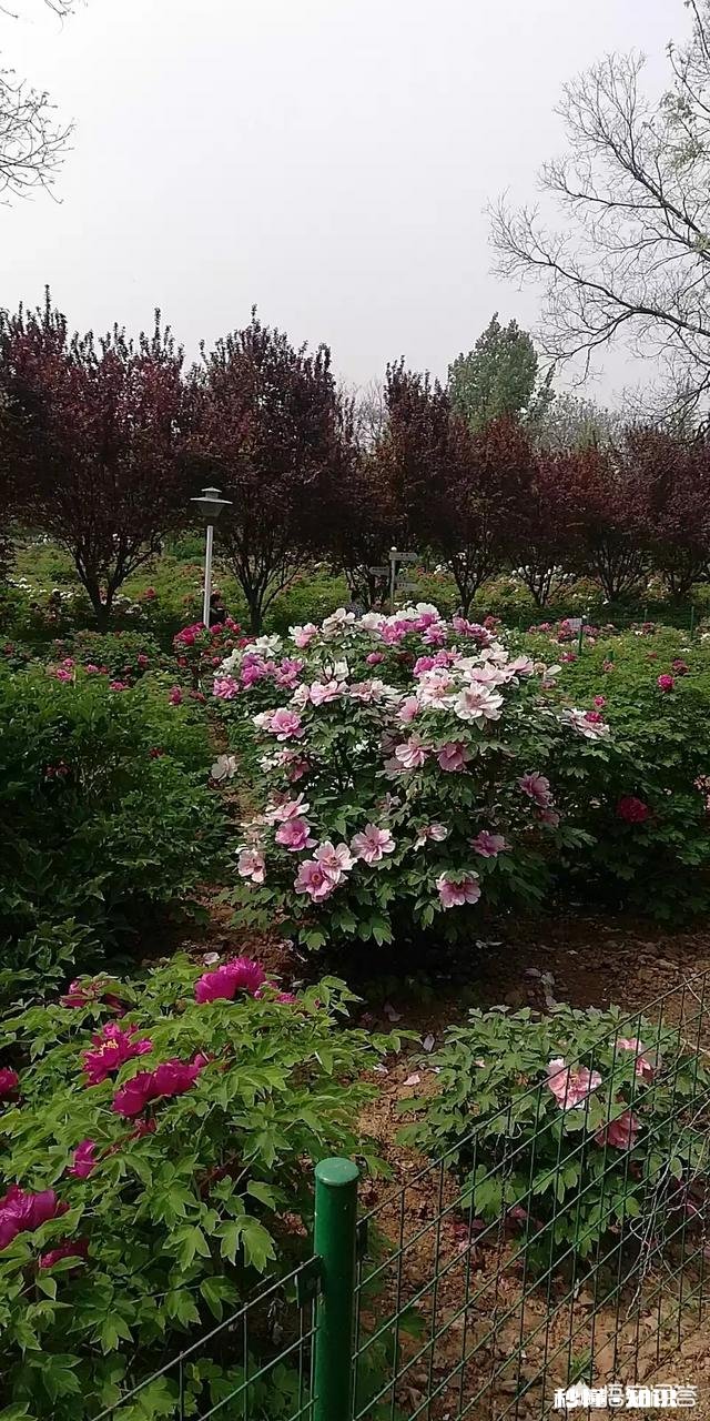 结婚一周年纪念日，给老婆买什么礼物好呢