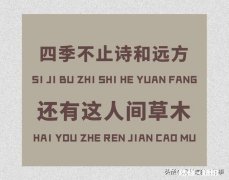 无关爱情，理智向前的句子有什么